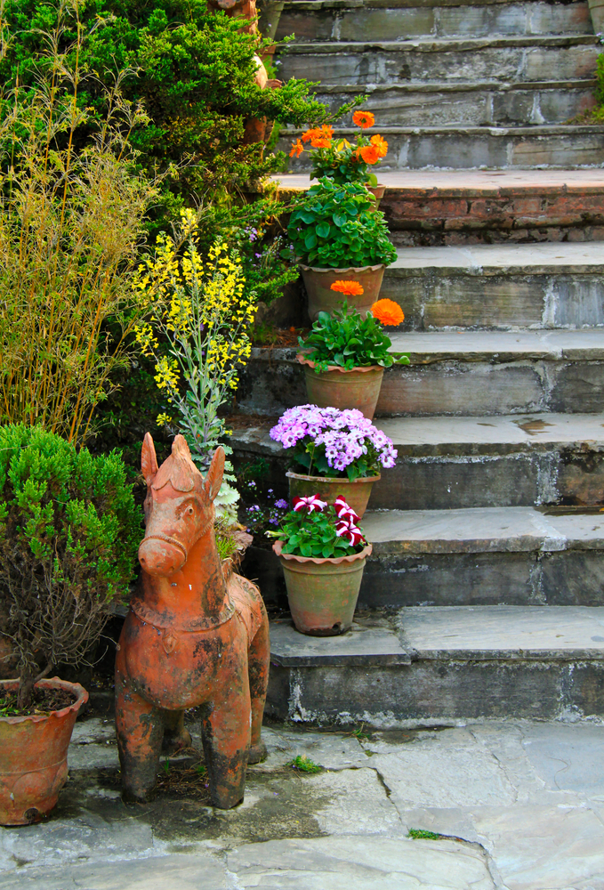 les choix de plantes en pot pour vos escaliers