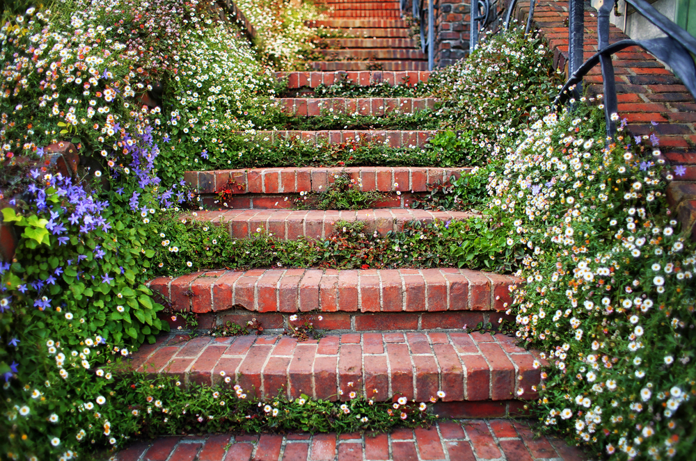 planter des fleurs autour de mon escalier de jardin