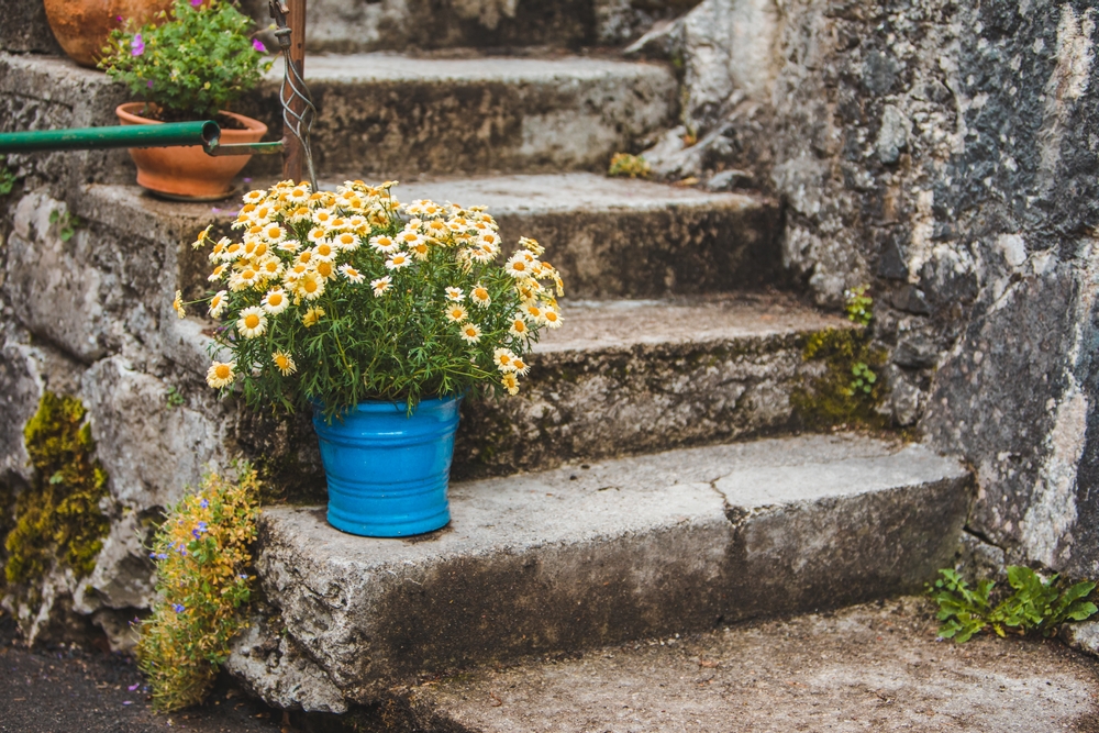 Nos conseils pour donner une touche plus authentique à vos escaliers de jardin
